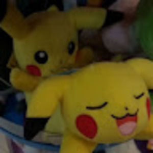 Meet your Posher, Dannielle